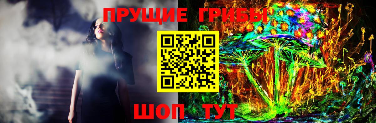 Псилоцибиновые грибы GOLDEN TEACHER  даркнет сайт  Псилоцибиновые грибы Cubensis  Шелехов  Вход с VPN 