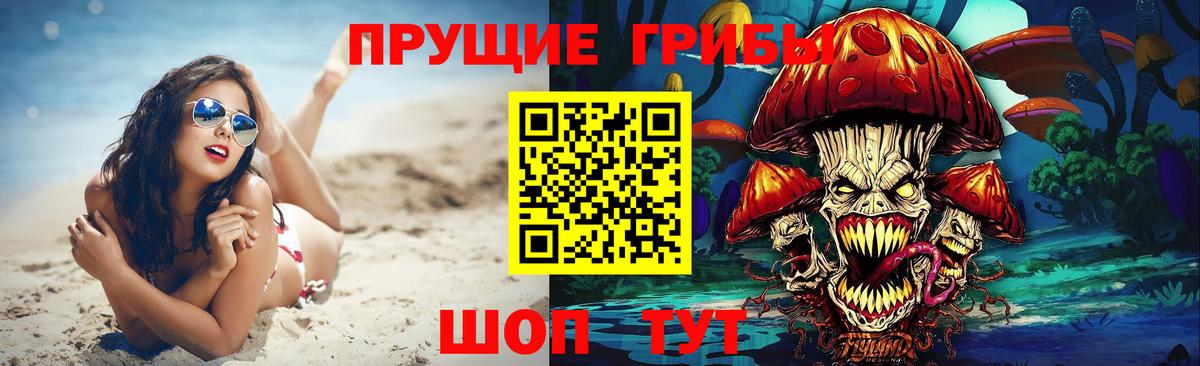 Галлюциногенные грибы прущие грибы Шелехов